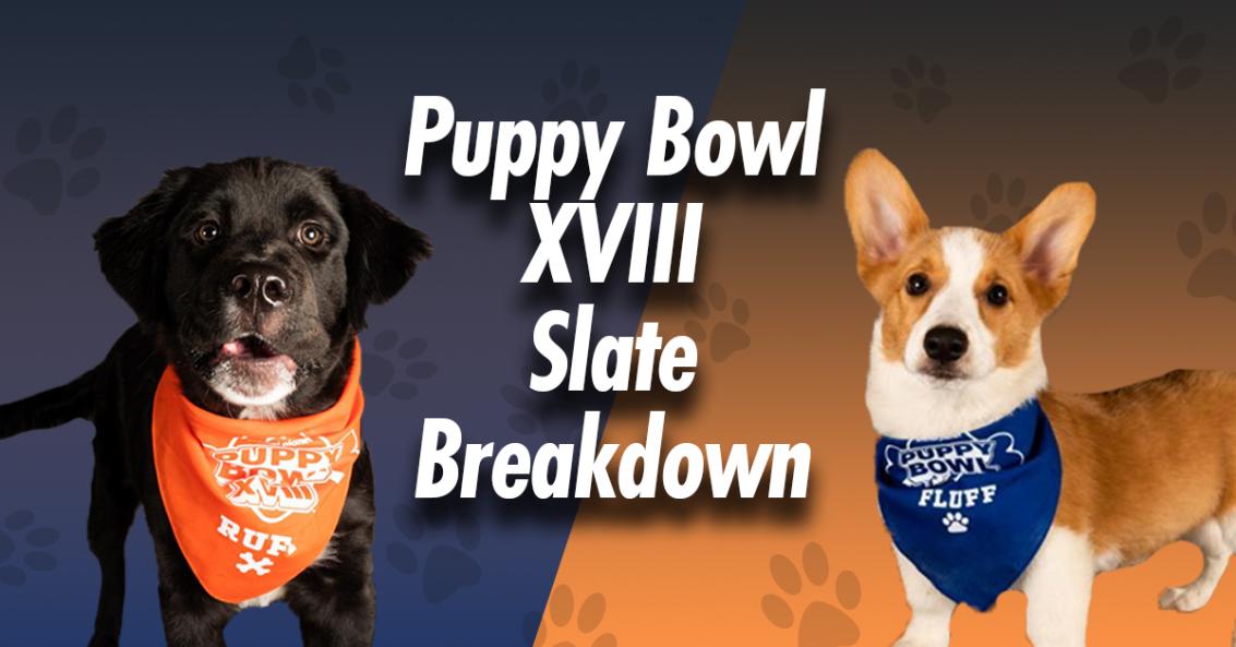 The Undroppables - Puppy Bowl XVIII Slate Breakdown